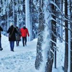 Winterspaziergang der Kolpingsfamilie