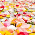 Legen des Blumenteppichs in St. Josef